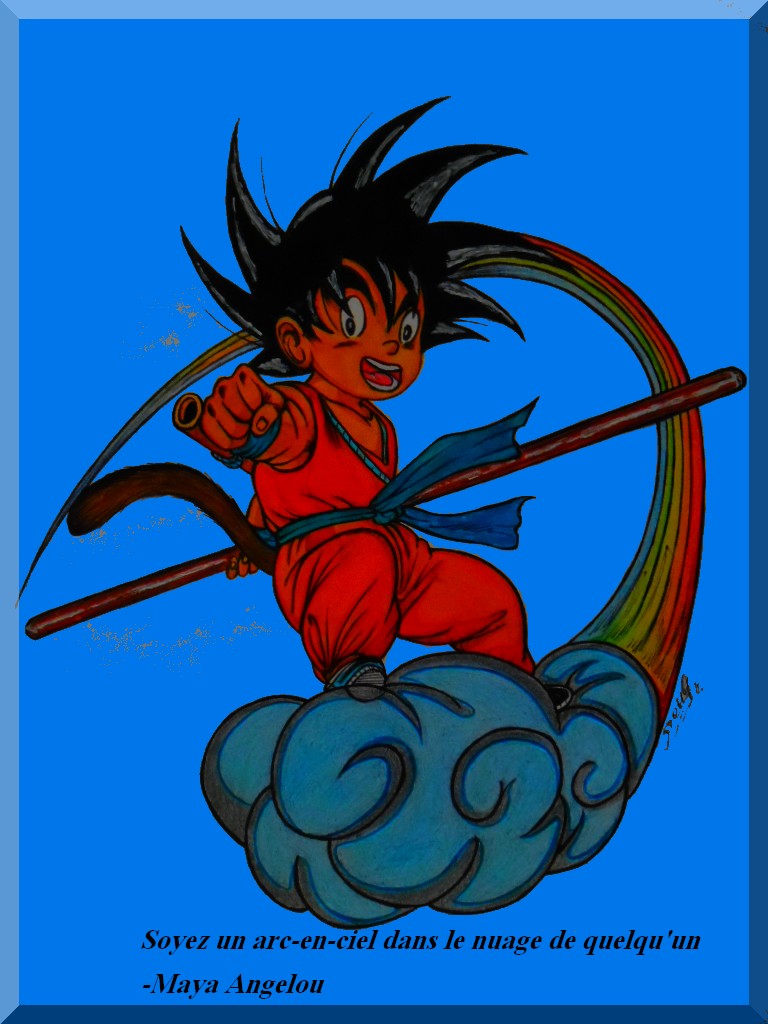 Dragon Ball (1,60mx1,12m)