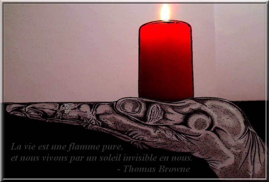 Flamme