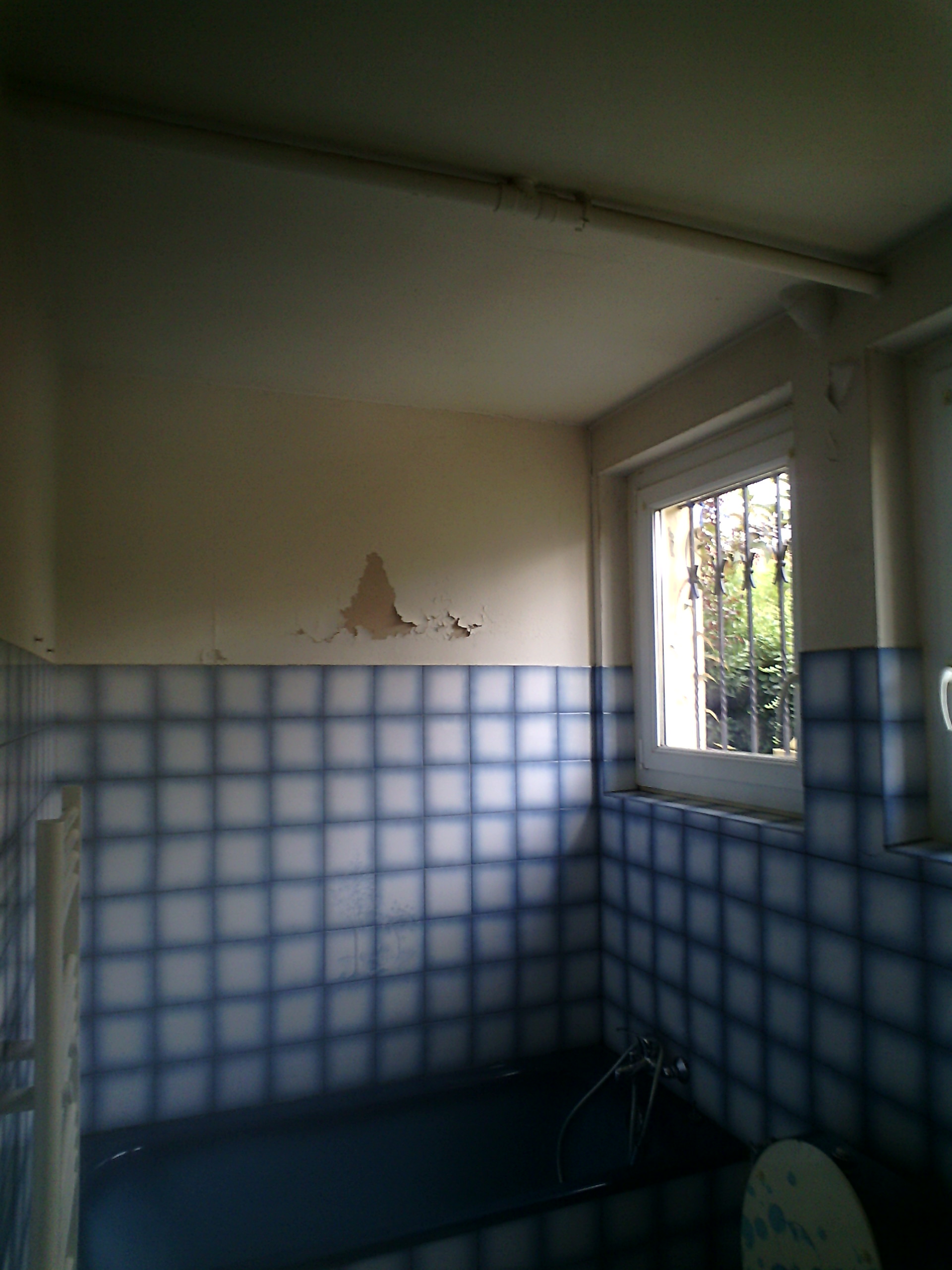 salle de bain moisissure